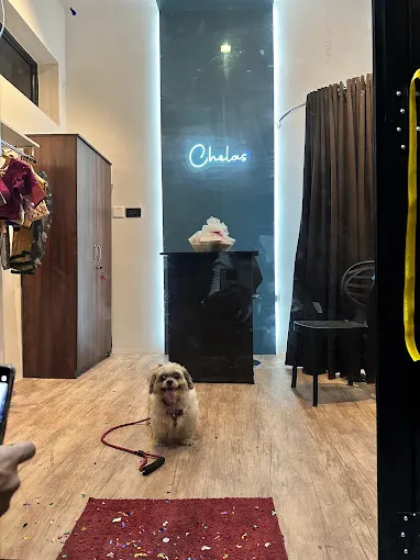 C studio by chelas
